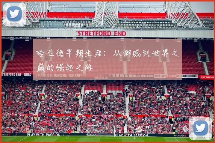 哈兰德早期生涯：从挪威到世界之巅的崛起之路
