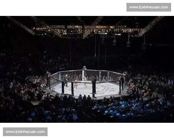 UFC 轻量级深度分析：历史最激烈量级之争